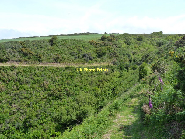 Photo 6"x4" Coastal Path and footbridge Parcllyn c2011