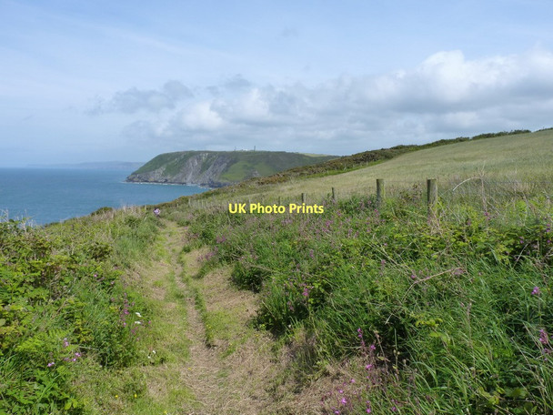 Photo 6"x4" Along the Coastal Path near Mwnt-b\u00c3\u00a2ch farm Parcllyn c2011