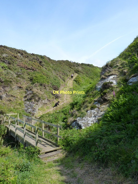 Photo 6"x4" Footbridge on the Coastal Path Parcllyn c2011