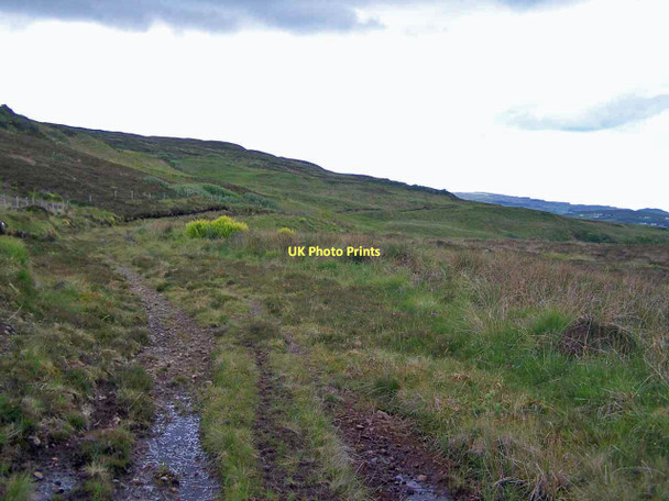 Photo 6"x4" Track through Sumardale Coillore c2011