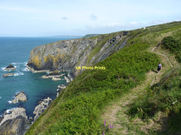 Photo 6"x4" Coastal Path between Hatling Bigni and Pencestyll Y Ferwig c2011