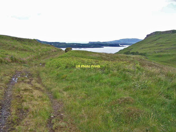 Photo 6"x4" Track through Sumardale Coillore c2011 P1