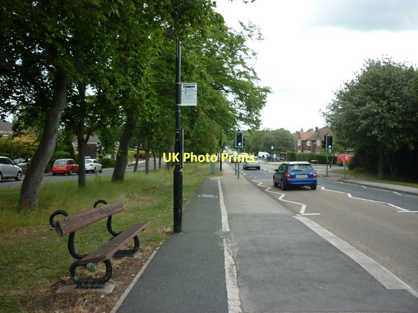 Photo 6"x4" Hookstone Chase, Harrogate Harrogate c2011