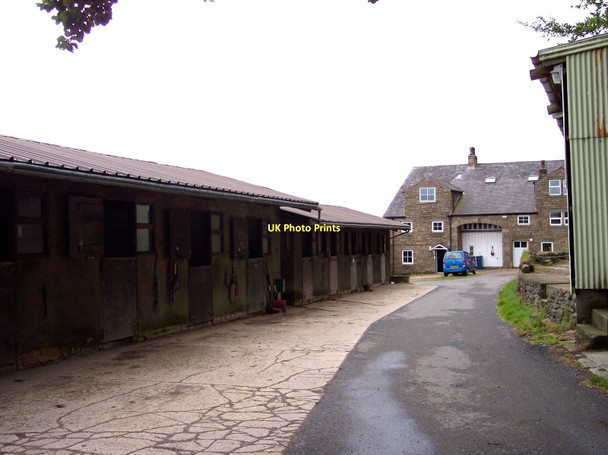 Photo 6"x4" The farm at New Hall Read c2011