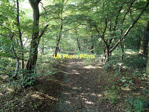 Photo 6"x4" Public footpath in Kent Wood Cock Clarks c2011