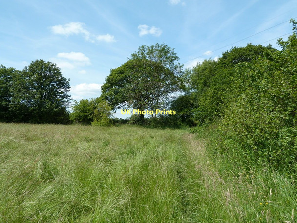 Photo 6"x4" Field corner near Lightwood Lane Farm Charnock Hall c2011