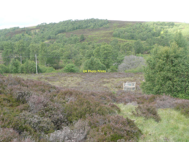 Photo 6"x4" Larsen trap in Glen Tromie Drumguish\/NN7999 c2011