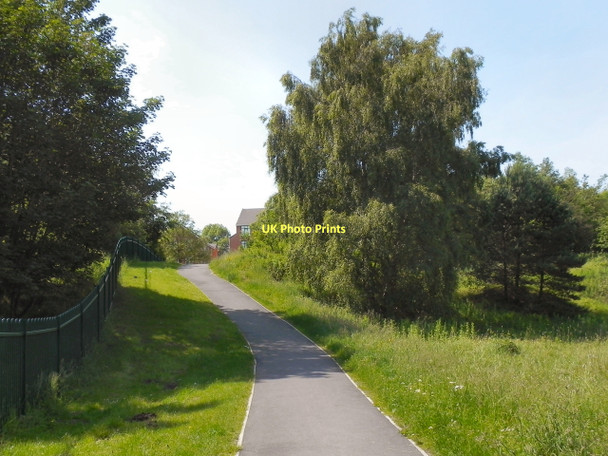 Photo 6"x4" Stamford Park, Path to Mellor Road Ashton-Under-Lyne c2011