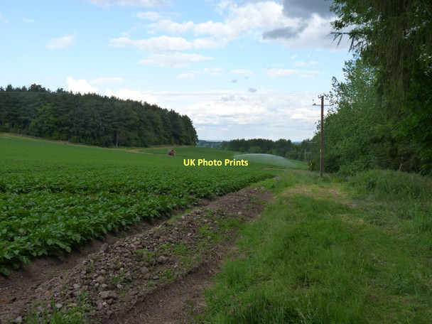 Photo 6"x4" The footpath is about to get muddy Chadwell\/SJ7814 c2011