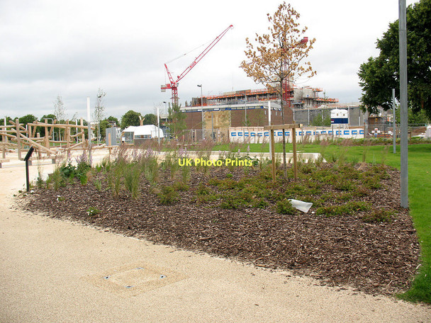 Photo 6"x4" Fordham Park: planting Deptford\/TQ3677 c2011