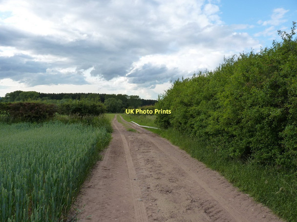 Photo 6"x4" Farm track across Guy's Bank Great Chatwell c2011
