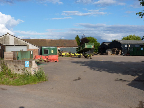 Photo 6"x4" Lynn Manor Farm Lynn\/SJ7815 c2011