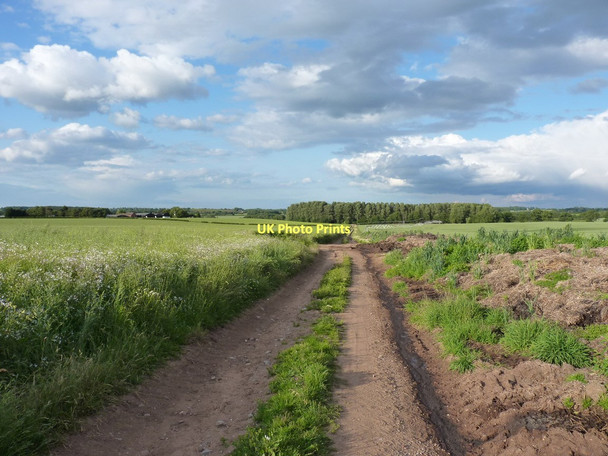 Photo 6"x4" Tracks across fields at Lynn Lynn\/SJ7815 c2011