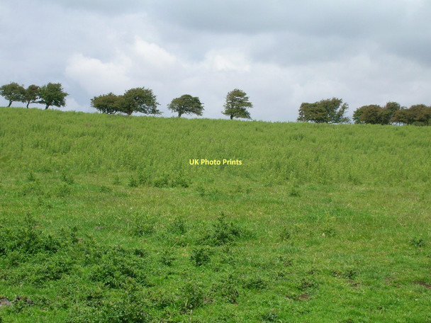 Photo 6"x4" Farmland near Heaton Heaton\/SD4460 c2011
