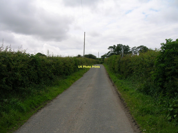 Photo 6"x4" Track to Moss Side Farm Heysham c2011