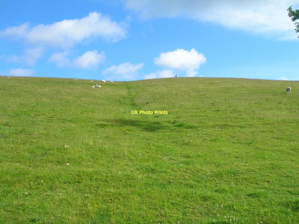 Photo 6"x4" Farmland north of Park Lane Halton Green\/SD5165 c2011