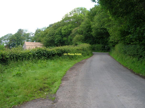Photo 6"x4" Park Lane heading north Halton Green\/SD5165 c2011