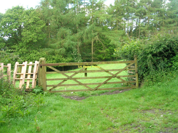 Photo 6"x4" Field entrance off Park Lane Halton Green\/SD5165 c2011