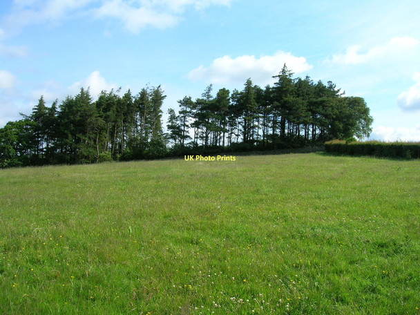 Photo 6"x4" Farmland near Gressingham Gressingham c2011
