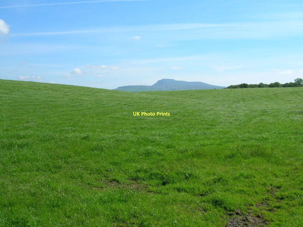 Photo 6"x4" Farmland off Cross Road Low Bentham c2011