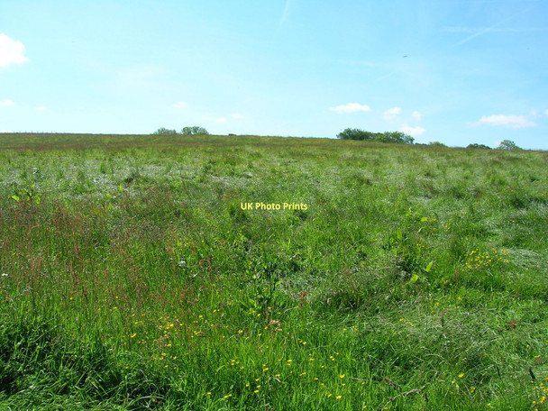 Photo 6"x4" Farmland off Mewith Lane Mill Dam\/SD6867 c2011