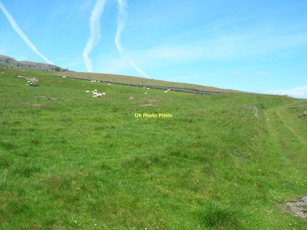 Photo 6"x4" Farmland, Swarth Moor Foredale c2011