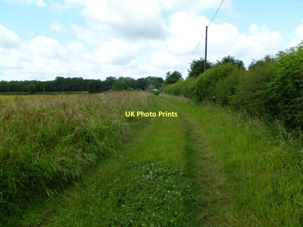 Photo 6"x4" Manswood, bridleway Manswood c2011