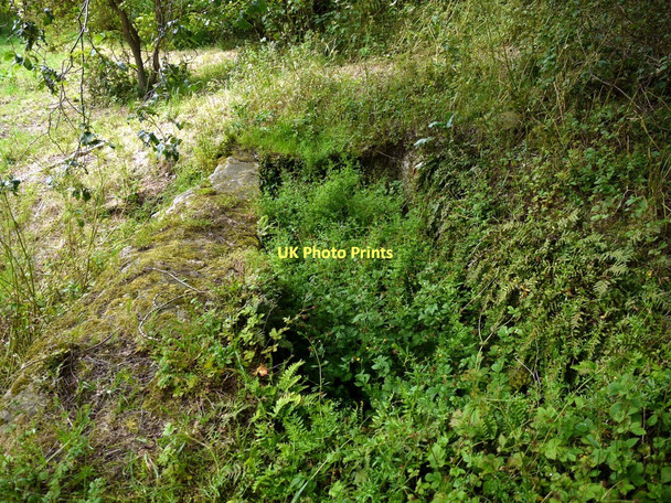 Photo 6"x4" The 'Giant's Grave' - a Roman cistern near Rudchester Houghton\/NZ1266 c2011