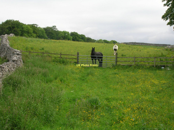Photo 6"x4" Grazing land of Thorpe Lane Thorpe\/SE0161 c2011