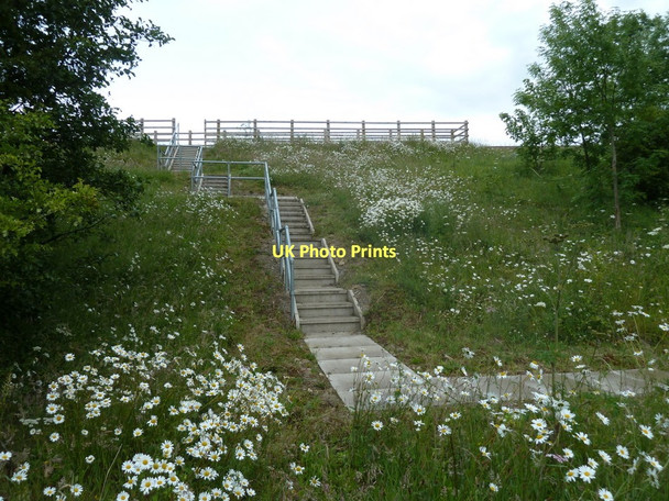 Photo 6"x4" Motorway embankment, M1 near Woodall High Moor\/SK4680 c2011