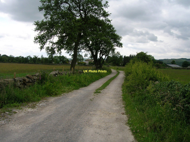 Photo 6"x4" Minor road towards Braisty Woods Low Laithe\/SE1963 c2011