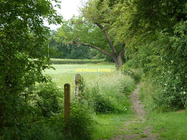 Photo 6"x4" Footpath to Eckington Eckington\/SK4279 c2011