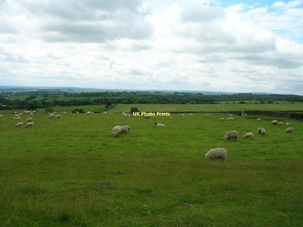 Photo 6"x4" Farmland, Warsill Warsill c2011