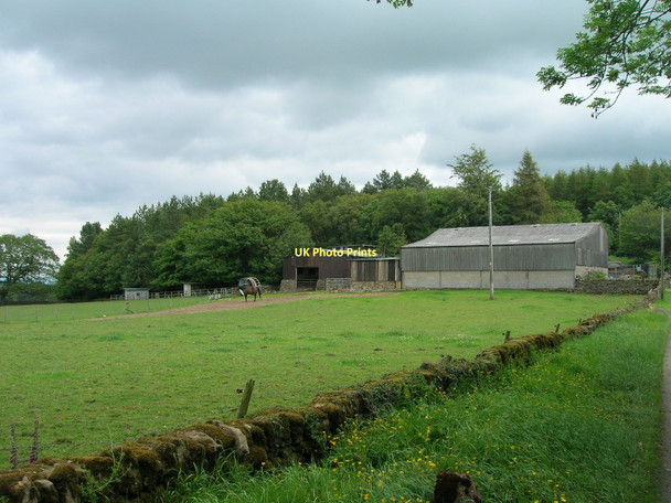 Photo 6"x4" Rabbit Hill Farm Warsill c2011