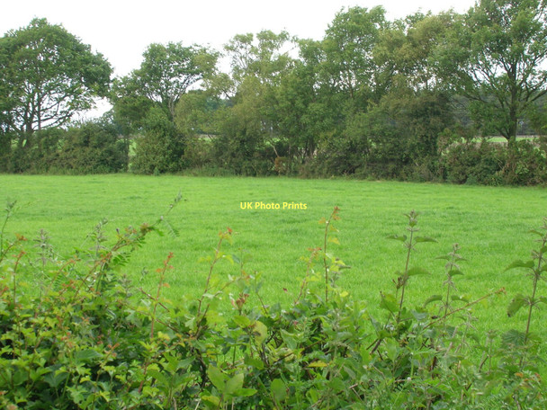 Photo 6"x4" Farmland near Hebden Wood Sawley\/SE2467 c2011