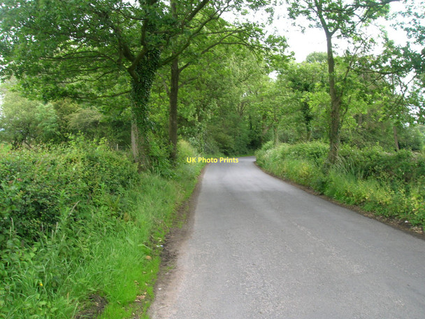 Photo 6"x4" Careless House Lane Sawley\/SE2467 c2011