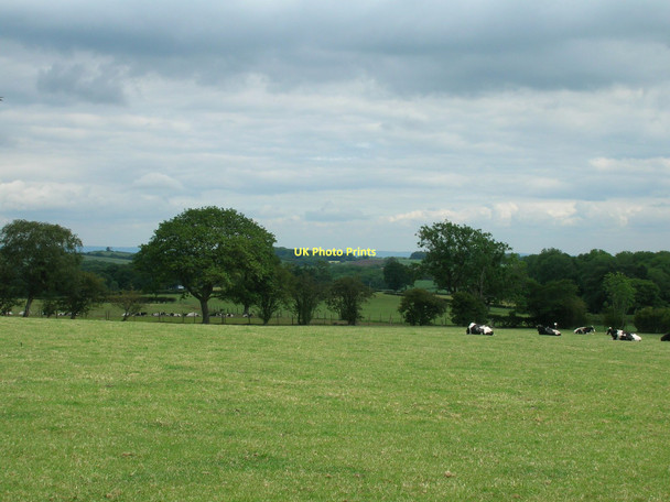 Photo 6"x4" Farmland, Careless House Farm Low Gate\/SE2567 c2011