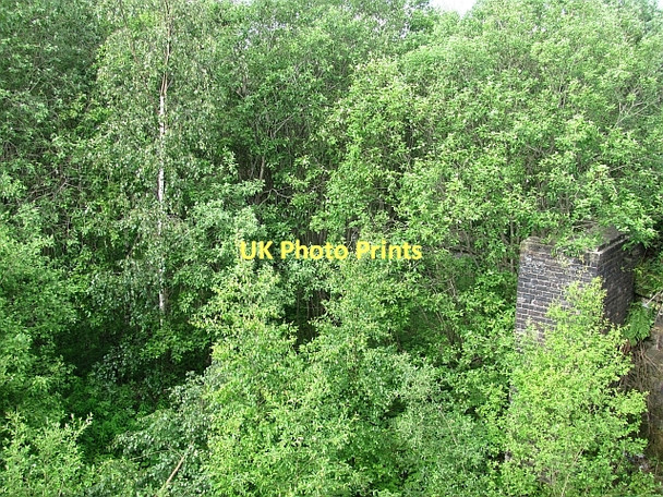 Photo 6"x4" Disused railway Glasgow c2011