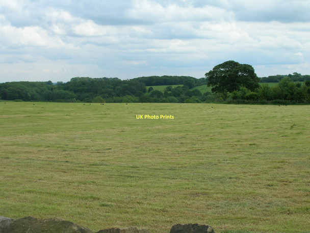Photo 6"x4" Farmland, Raventofts Head Bishop Thornton c2011