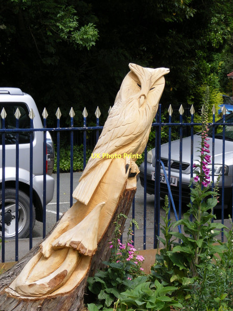 Photo 6"x4" Owls at Church Stretton Station Church Stretton c2011