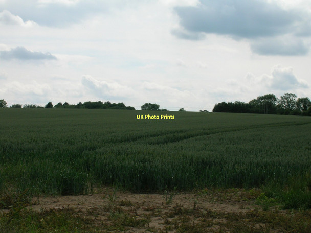Photo 6"x4" Farmland near Bishop Monkton Bishop Monkton c2011