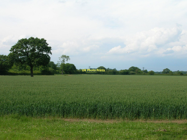 Photo 6"x4" Farmland, Roecliffe Roecliffe c2011
