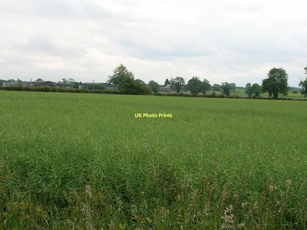 Photo 6"x4" Farmland south of Holbeck Lane Lower Dunsforth c2011