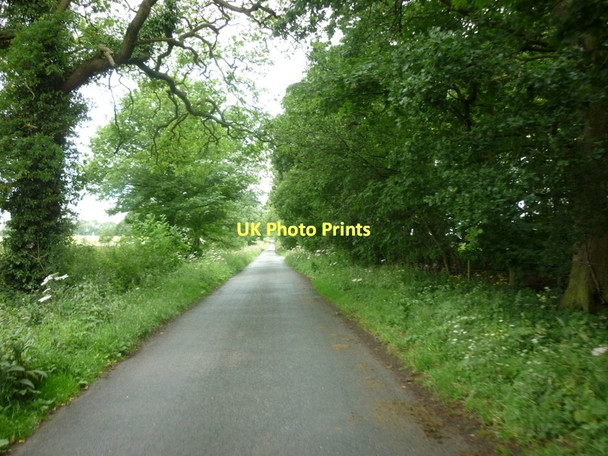 Photo 6"x4" Roseberry Lane towards Huby Stillington\/SE5867 c2011