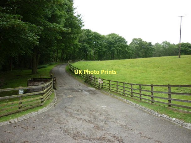 Photo 6"x4" The way to Crief farm, north of Wass Wass c2011
