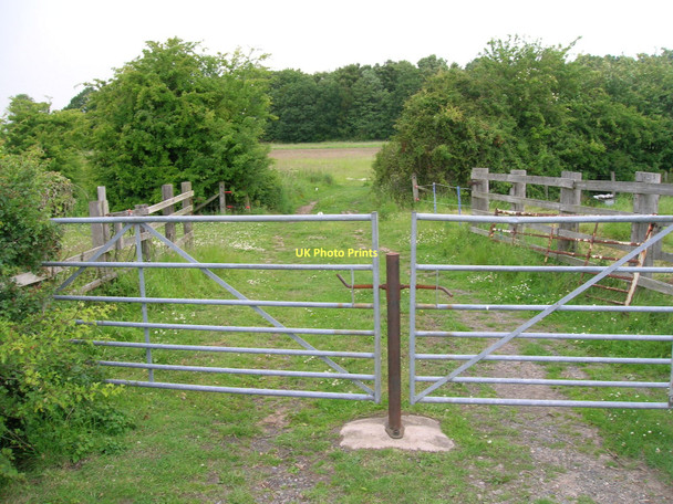 Photo 6"x4" Field entrance off Boat Lane Aldwark\/SE4663 c2011