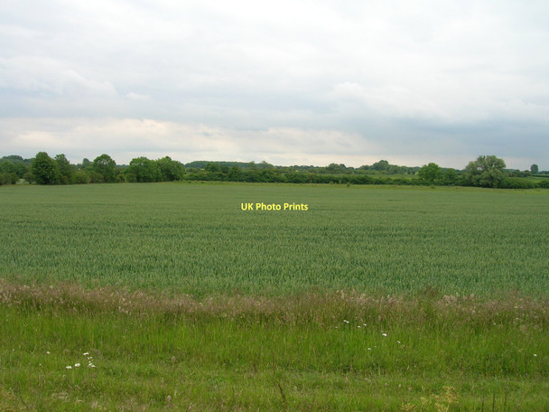 Photo 6"x4" Farmland near Linton-on-Ouse Linton-on-Ouse c2011