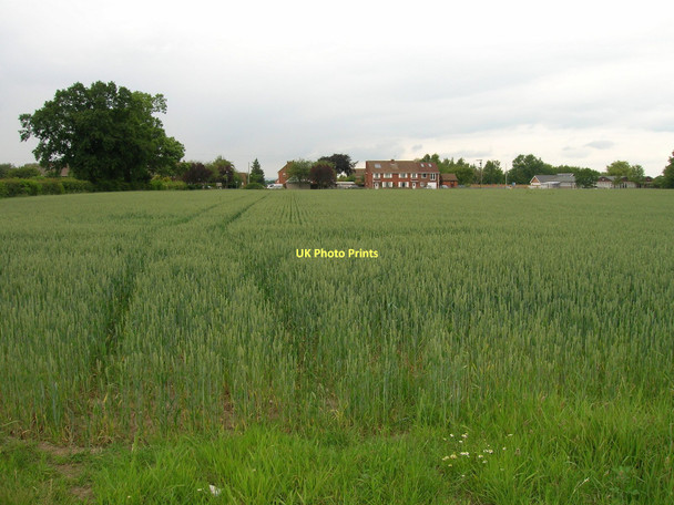 Photo 6"x4" Farmland near Linton-on-Ouse Linton-on-Ouse c2011