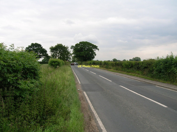 Photo 6"x4" Minor road towards Newton-on-Ouse Linton-on-Ouse c2011