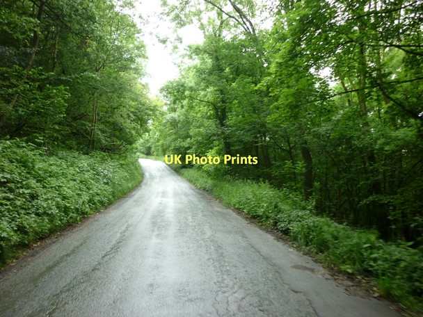 Photo 6"x4" Uphill towards the B1257 Rievaulx c2011